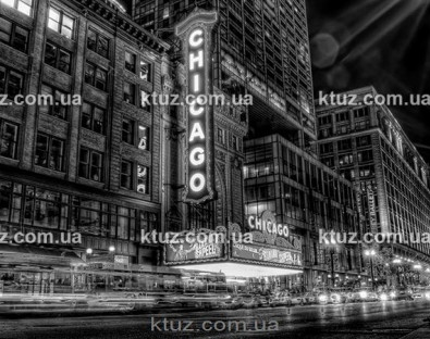 Баннер № 8. Ночной Чикаго большой Баннер № 8. Ночной Чикаго большой