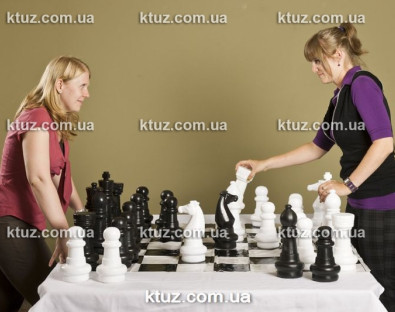 Парковые шахматы (средние)