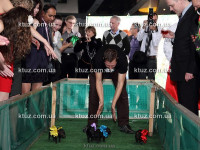 Поросячьи бега