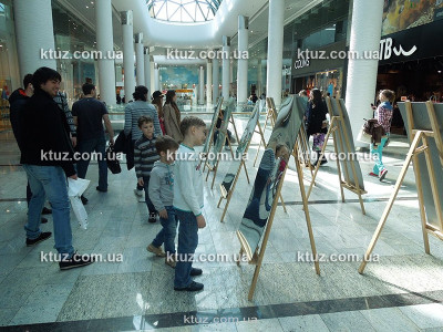 Кривые зеркала Кривые зеркала