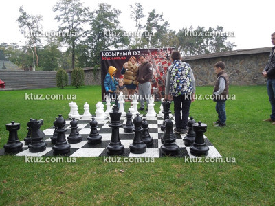 Парковые шахматы (большие)