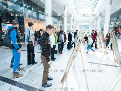 Кривые зеркала Кривые зеркала