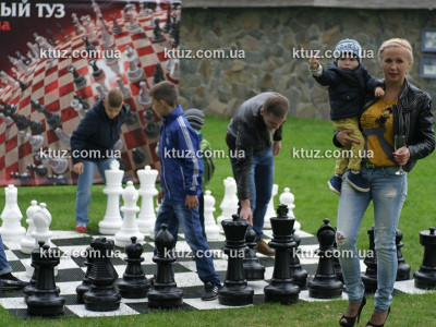 Парковые шахматы (большие) Парковые шахматы (большие)