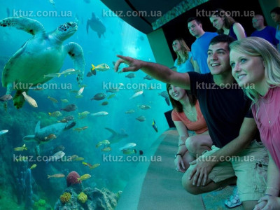 В каком парке самые головокружительные аттракционы? В каком парке самые головокружительные аттракционы?