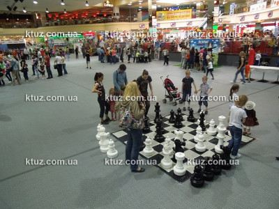 Парковые шахматы (большие) Парковые шахматы (большие)