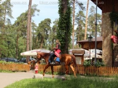 Досуг для всей семьи - популярные площадки с аттракционами в украинской столице Досуг для всей семьи - популярные площадки с аттракционами в украинской столице