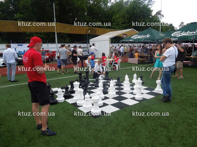Парковые шахматы (большие) Парковые шахматы (большие)