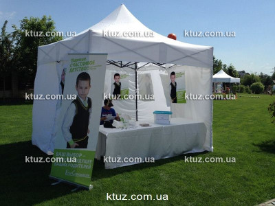 Вечеринка «Выборы» для детей Вечеринка «Выборы» для детей