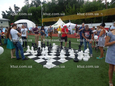 Парковые шахматы (большие) Парковые шахматы (большие)