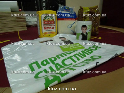 Вечеринка «Выборы» для детей Вечеринка «Выборы» для детей