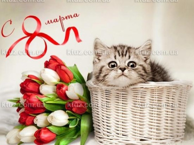 Останется ли 8 Марта выходным днем Останется ли 8 Марта выходным днем