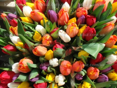 Останется ли 8 Марта выходным днем Останется ли 8 Марта выходным днем