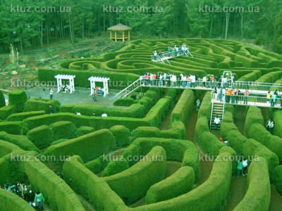 Какие новинки ждут поклонников развлечений на аттракционах?