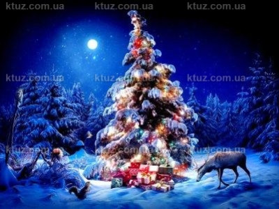 Развлечения на Новый год 2018 Развлечения на Новый год 2018