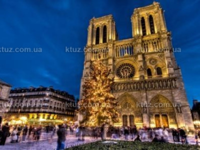 Новогодние праздники французы любят меньше, чем Рождество Новогодние праздники французы любят меньше, чем Рождество