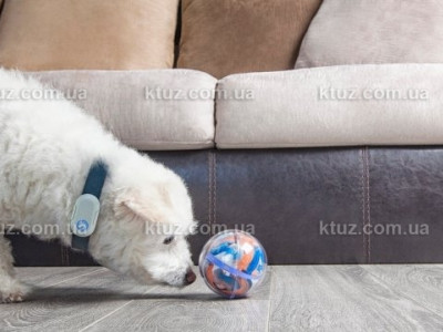 Роботизированные игрушки для животных Роботизированные игрушки для животных