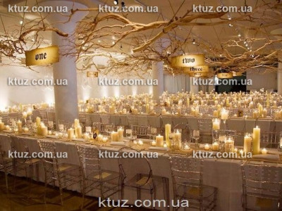 Вечеринка в стиле Гарри Поттера Вечеринка в стиле Гарри Поттера