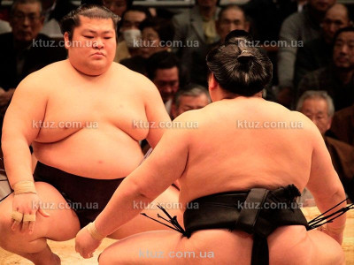 Интересные факты про Бои Сумо Интересные факты про Бои Сумо