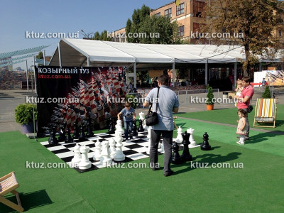Парковые шахматы (большие)