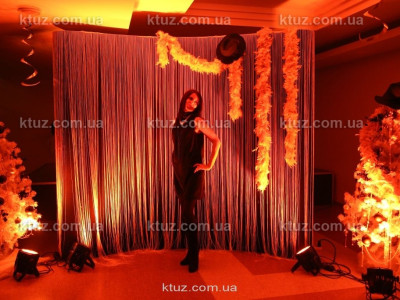 Вечеринка в стиле Гэтсби Вечеринка в стиле Гэтсби