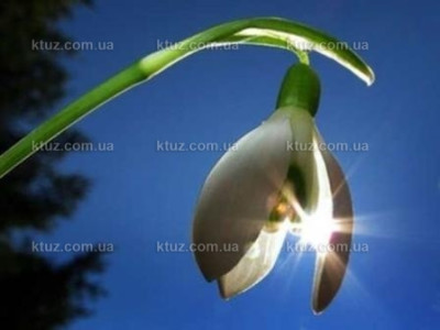 Встречаем праздник весеннего равноденствия Встречаем праздник весеннего равноденствия