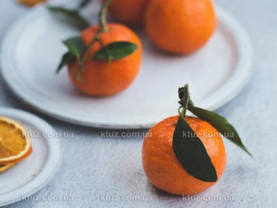 Чтобы было смешно и весело: самые странные праздники в мире Чтобы было смешно и весело: самые странные праздники в мире