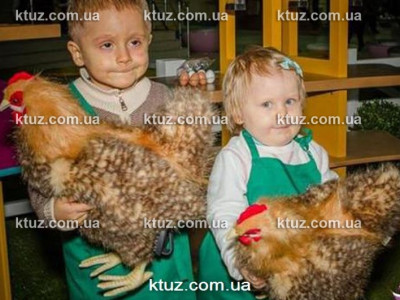 Город профессий для детей Город профессий для детей