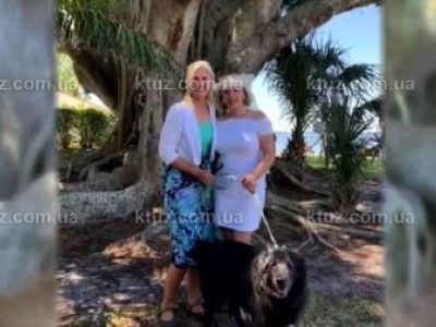 Странная свадьба в штате Флорида Странная свадьба в штате Флорида