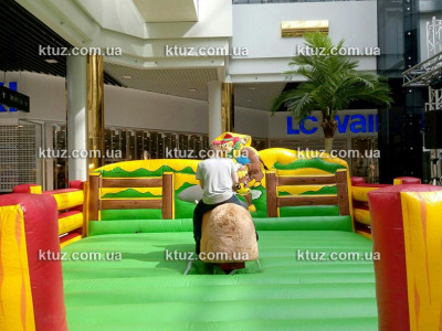 Родео на быке