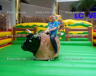 Родео на быке