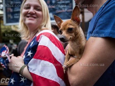 Аттракционы на мероприятии Picnic: American Independence Day