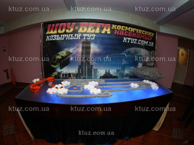 Эксклюзивные сценарии для новогоднего корпоратива 2014