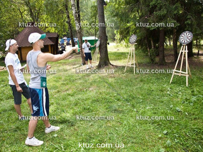 Дартс Механический