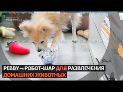 Роботизированные игрушки для животных Роботизированные игрушки для животных