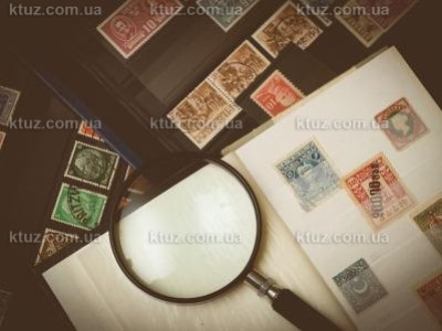 Как подобрать программу летнего тимбилдинга Как подобрать программу летнего тимбилдинга