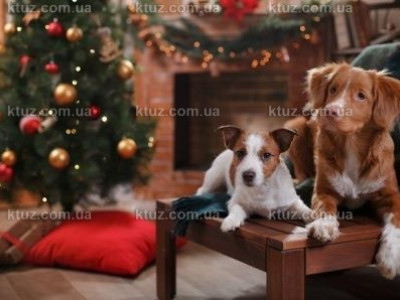 Как Новый год 2018 отпразднуют в Украине Как Новый год 2018 отпразднуют в Украине