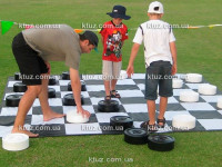 Парковые шашки