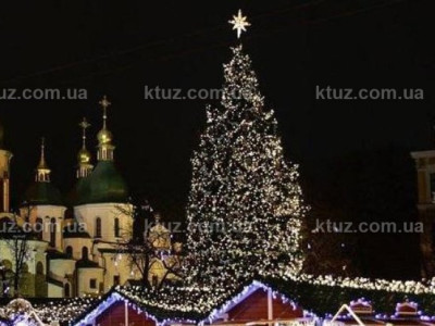 Елка - рекордсменка Елка - рекордсменка